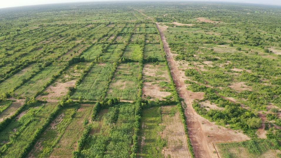 La restauration des terres et le reverdissement des paysages